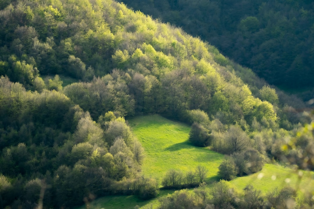 计量中心库存管理解决方案